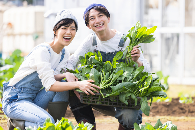 YACYBERで生産者と消費者をもっと身近に